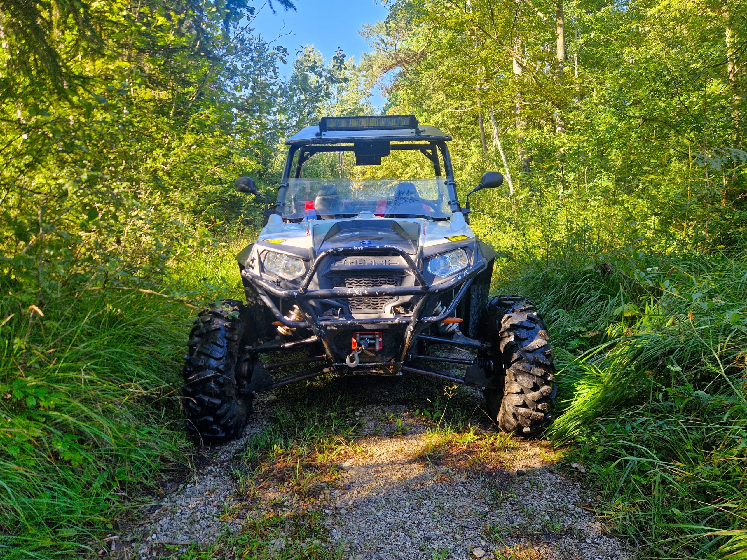 Buggy s sprednje strani in v gozdu